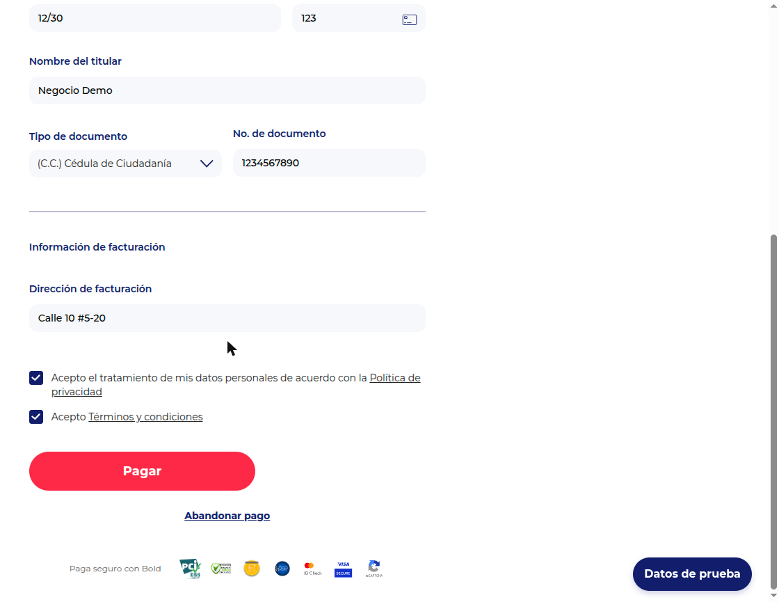 Formulario de tarjeta lleno, listo para pagar
